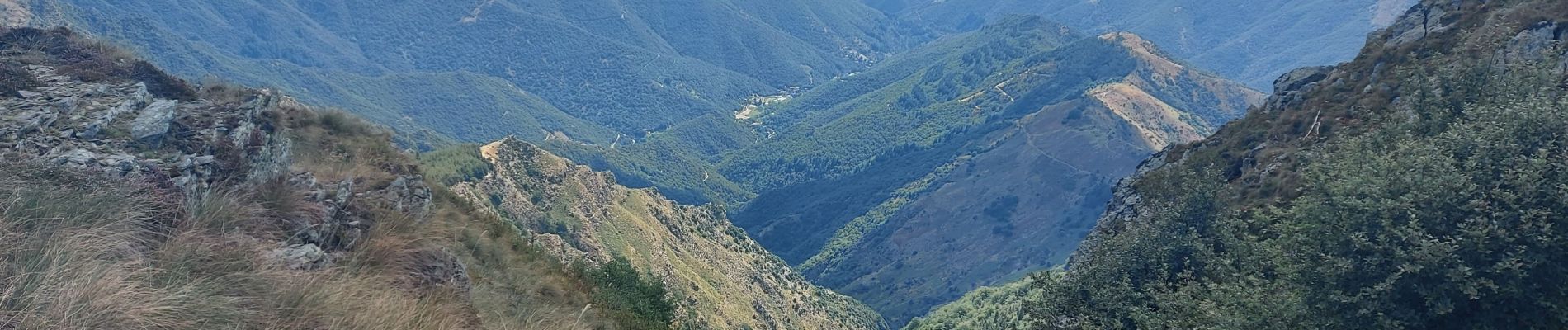 Tour Wandern Saint-André-de-Valborgne - aire de côté à l aigoual - Photo