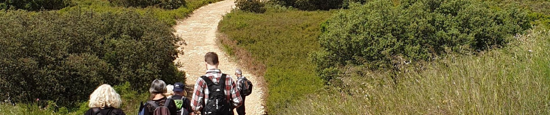 Trail Walking Marseille - la bararelle - Photo