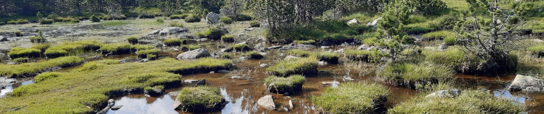 Excursión Senderismo Les Angles - balade des 12 lacs  depuis le lac de bouilloires  - Photo