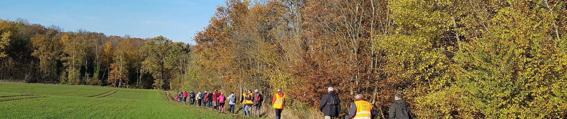 Percorso Marcia Bouresches - Bouresches du 22/11/2019 - Photo