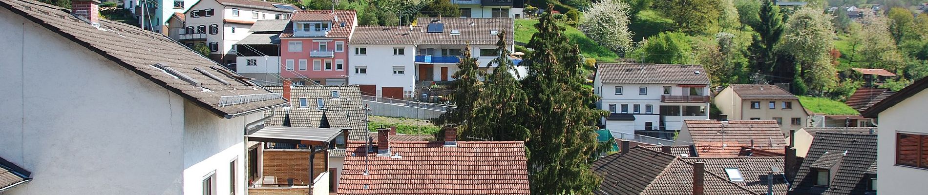 Excursión A pie Desconocido - Rundwanderweg Ziegelhausen 2: Rund um Ziegelhausen - Photo