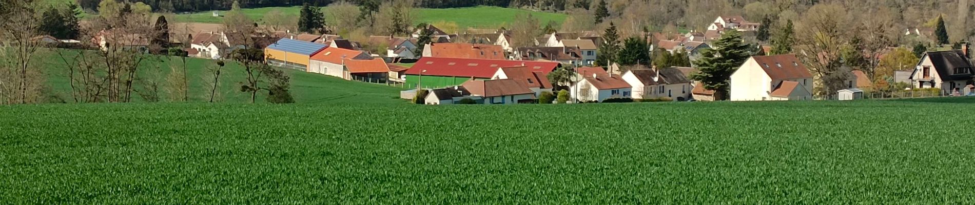 Tour Wandern Crécy-la-Chapelle - Crécy,04 - Photo