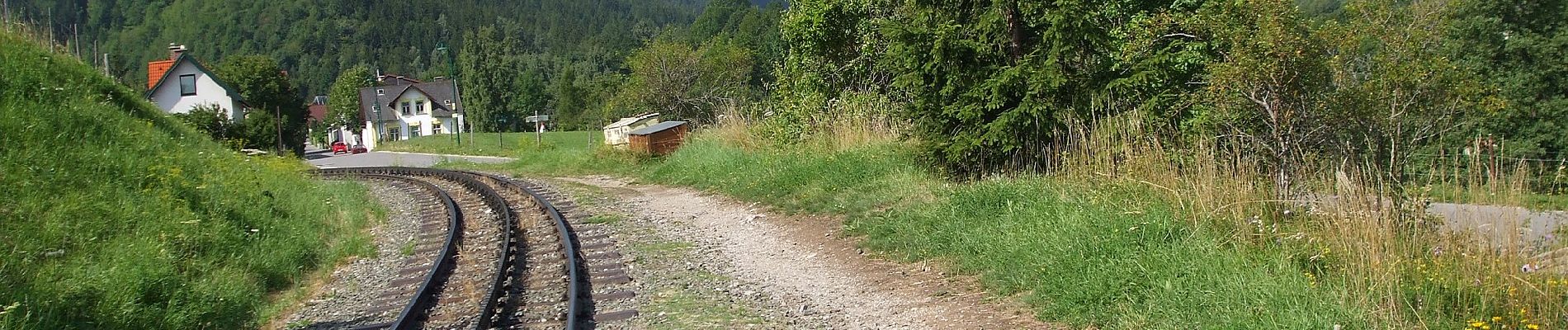 Trail On foot Gemeinde Puchberg am Schneeberg - Puchberg Laufstrecke 3 - Photo