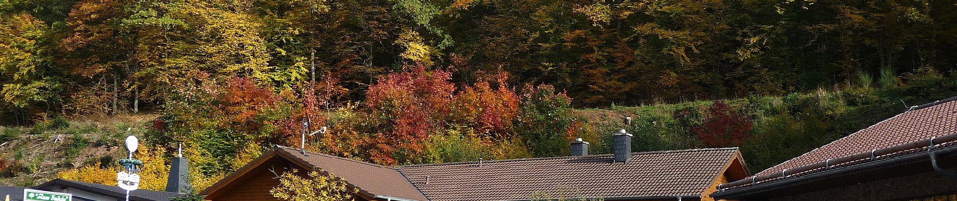 Tocht Te voet Bockenau - DVV Durch die Bockenauer Schweiz - Photo