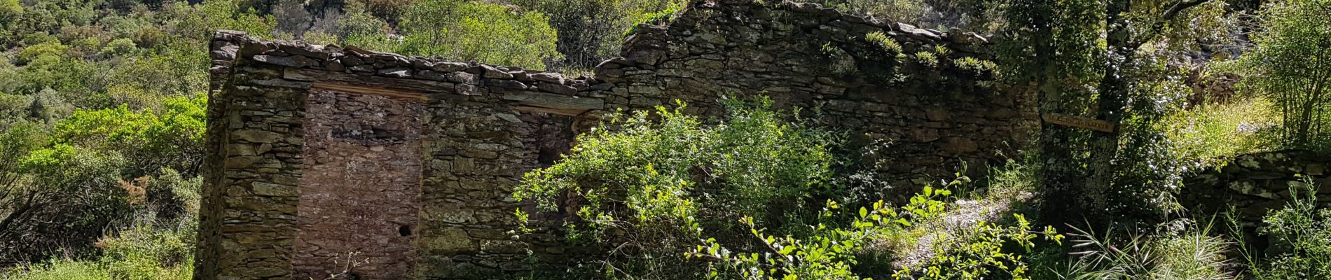 Tocht Stappen La Garde-Freinet - 83 - Le rucher de Blay et le moulin. à eau de blanche - Photo