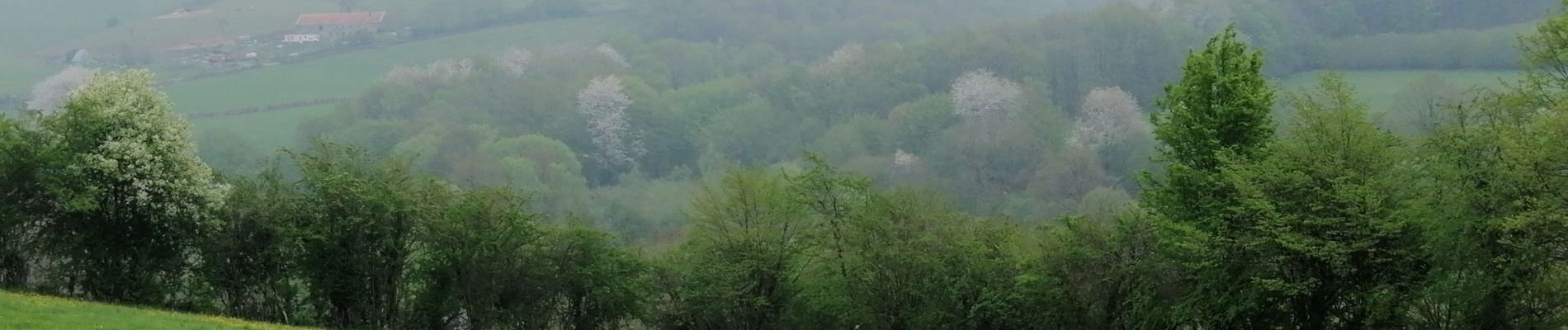 Tocht Stappen Verviers - Stembert--château des moines-cossart - Photo