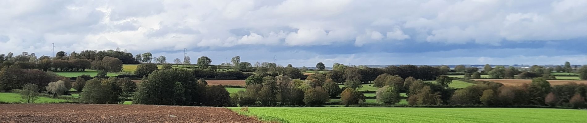 Tour Wandern Sains-du-Nord - Sains du Nord - Photo