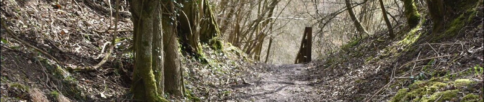 Percorso A piedi Tandridge - Woldingham Countryside Walk - Photo