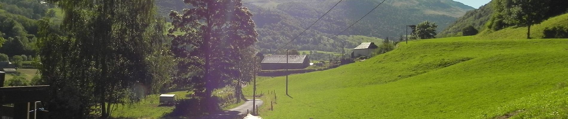 Randonnée A pied Le Falgoux - Sentier de la cascade du Biaguin - Photo