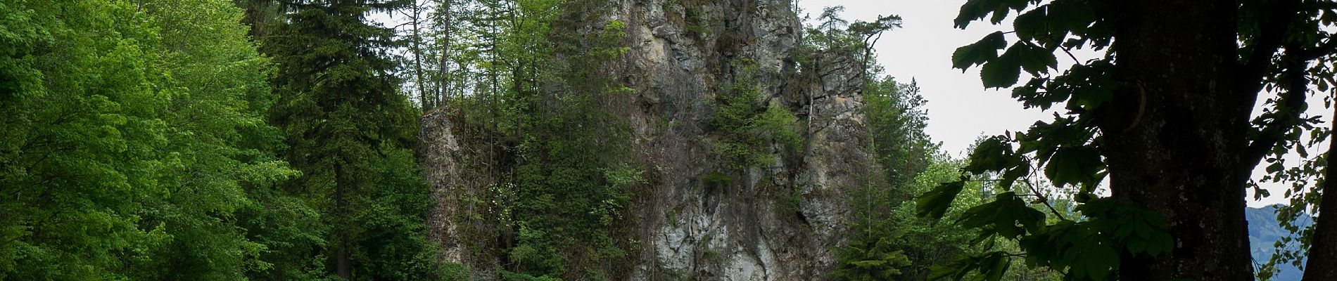 Percorso A piedi Sankt Ulrich bei Steyr - Wanderweg 11 - Photo