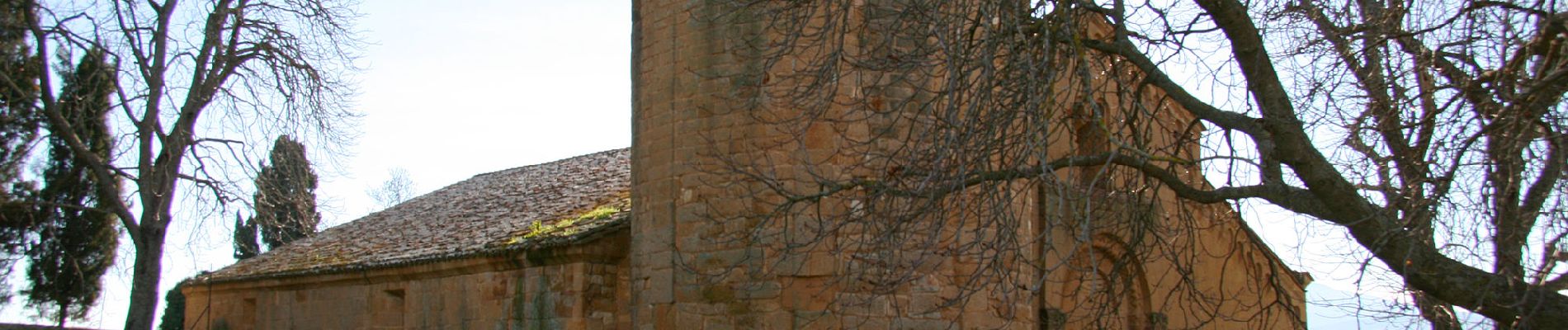 Randonnée A pied Pienza - Ammannati - Photo