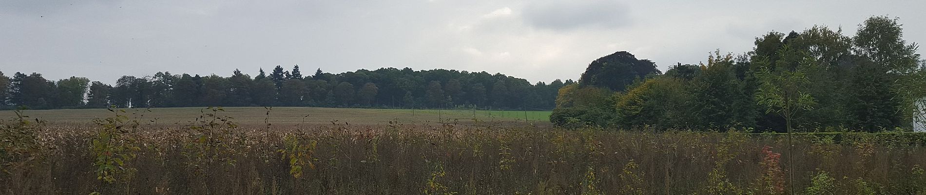 Randonnée A pied Halen - Kartuizerspatiamentum Oranje bol - Photo