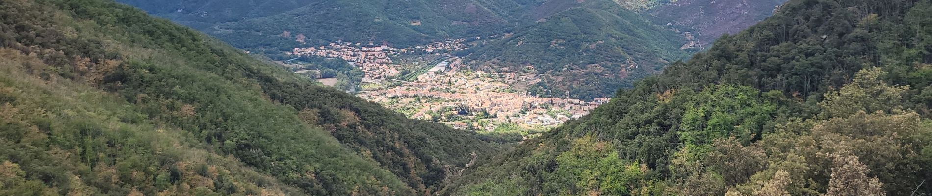 Excursión Senderismo Amélie-les-Bains-Palalda - 12 - Photo