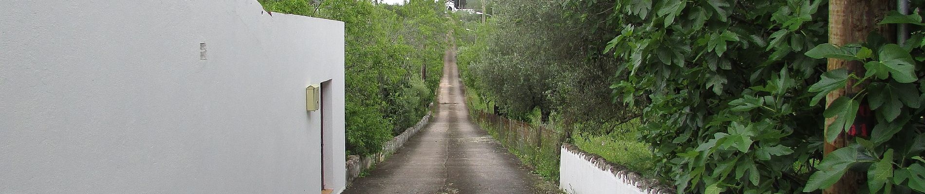 Excursión A pie Querença, Tôr e Benafim - Serra e Montes - Photo