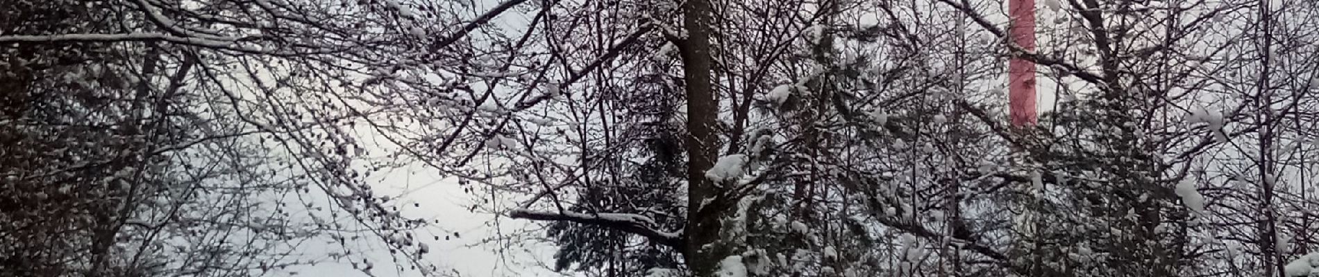 Randonnée Marche Épinal - RELAIS TELE DE LA VIERGE - Photo