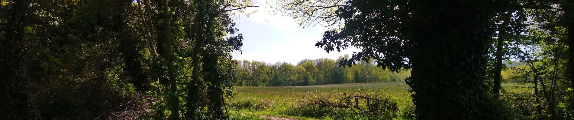 Randonnée Marche Chanat-la-Mouteyre - les trois villages réduit.  - Photo