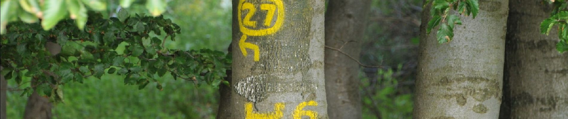 Tocht Te voet Kaufungen - Niederkaufungen, Rundweg 28 - Photo