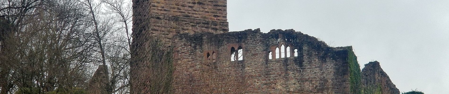 Percorso A piedi Neckarsteinach - Rundwanderweg Neckarsteinach Unter den 4 Burgen 3: Ochsenkopf-Weg - Photo