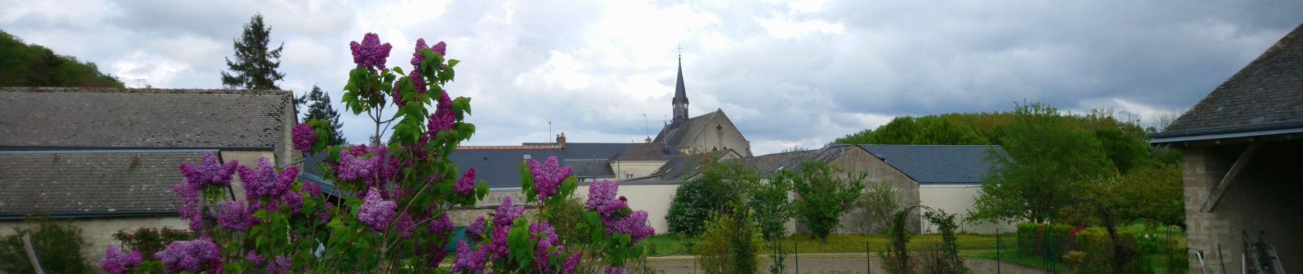 Tour Wandern Coteaux-sur-Loire - Saint-Patrice - GRP Coteaux de Bourgueil - 24.7km 300m 5h45 (45mn) - 2023 04 26 - Photo