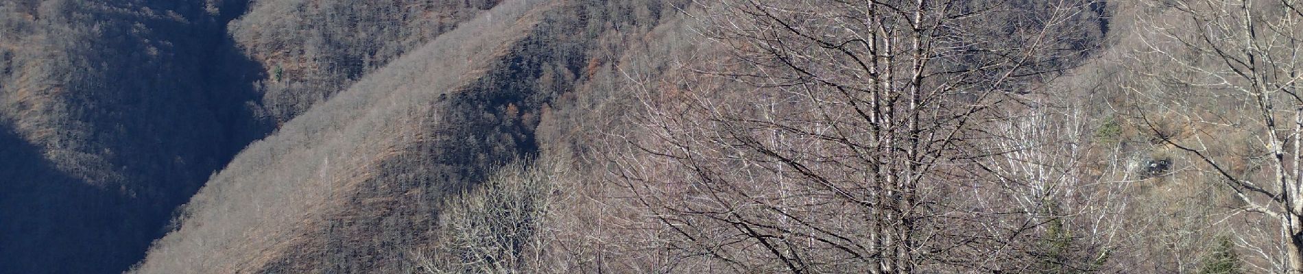 Tocht Stappen Biert - plateau de guiel - Photo