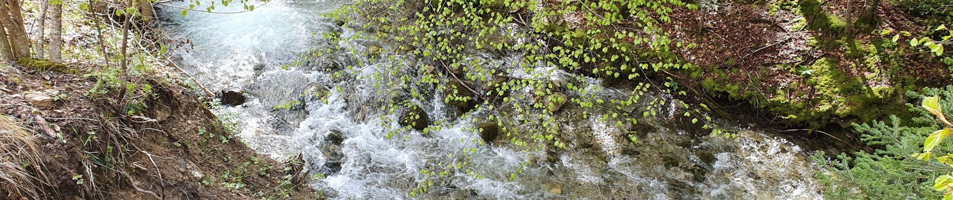 Tour Wandern Châtillon-en-Diois - les Nonnieres - Photo