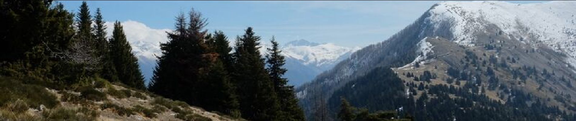 Randonnée Marche Valdeblore - Mont Viroulet et petit Cayres.Départ Bolline b139 - Photo