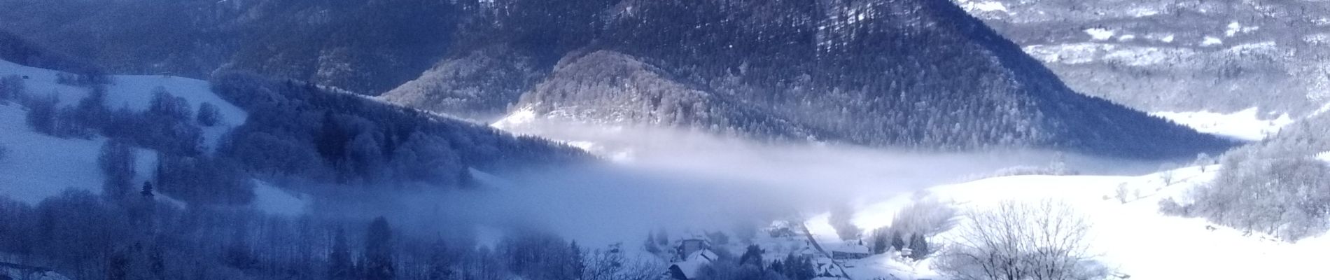 Tocht Ski randonnée Aillon-le-Jeune - le Morbier - Photo