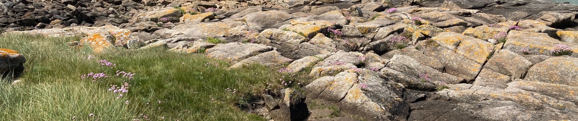 Randonnée Marche Barfleur - Pointe de Barfleur - Photo