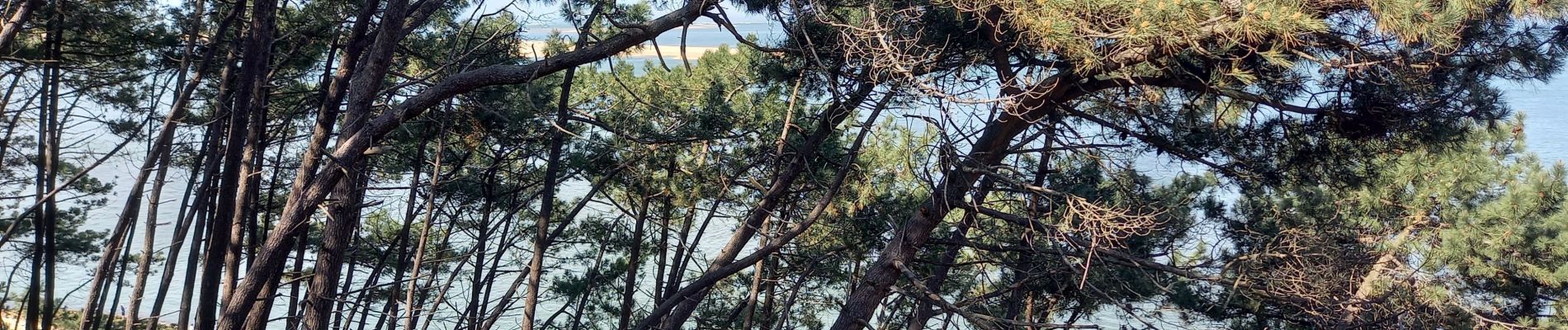 Randonnée Vélo de route Arcachon - Vélo Arcachon 9.4.23 - Photo