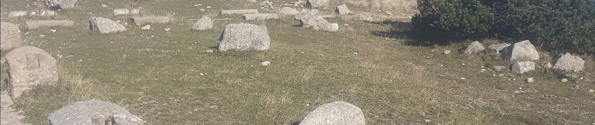 Excursión Senderismo Meyrueis - meyrues l'esperouvia le mont aigoual - Photo