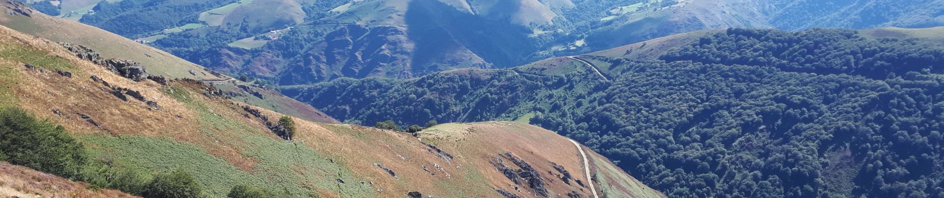 Tocht Stappen Banca - Lindus sentier des crêtes  - Photo