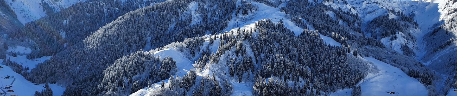 Percorso Racchette da neve Beaufort - Plan vilard - Photo