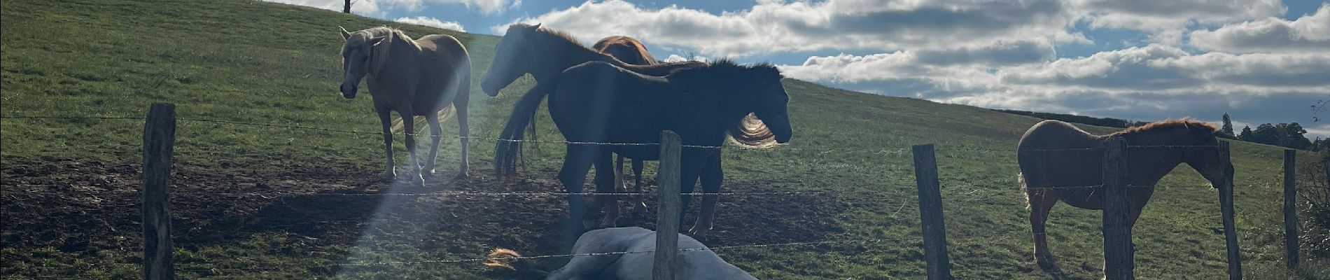 Tocht Stappen Arnay-le-Duc - Arnay-le-Duc - Photo