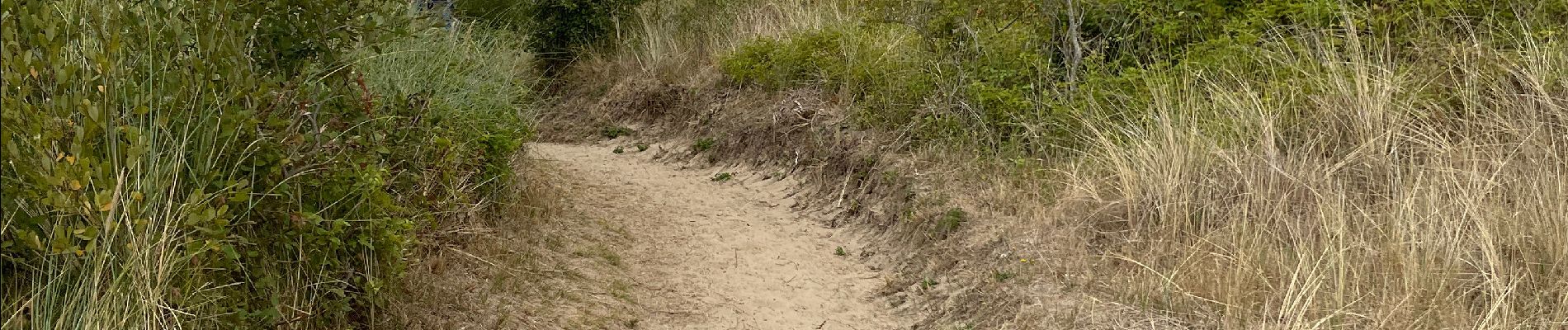 Randonnée Marche Condette - Dunes d’Ecault depuis le château d’Hardelot - Photo