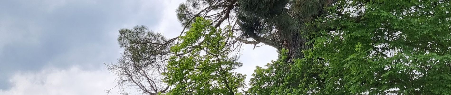 Tour Wandern Pont-du-Casse - la candelie test 02 05 23 - Photo