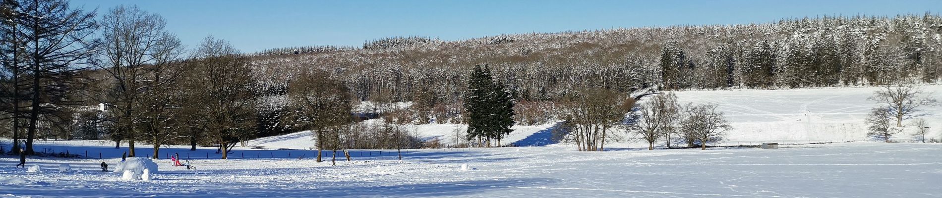 Randonnée Marche Saint-Hubert - VESQUEVILLE ... les bois de Sârwé. - Photo