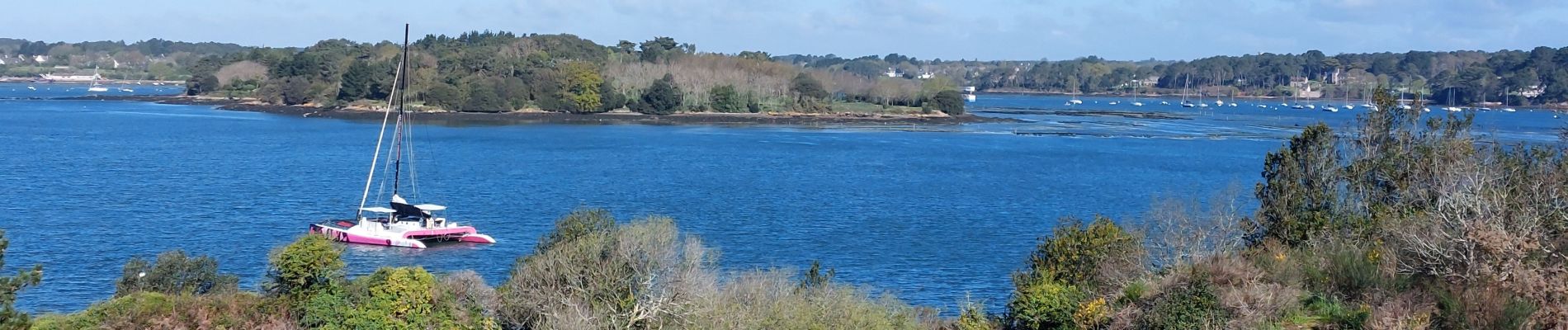 Trail Walking Île-aux-Moines - PR_56_Ile-Aux-Moines_AA_01_Le-Tour-De-L-Ile-Aux-Moines_Circuit1b_20230415 - Photo