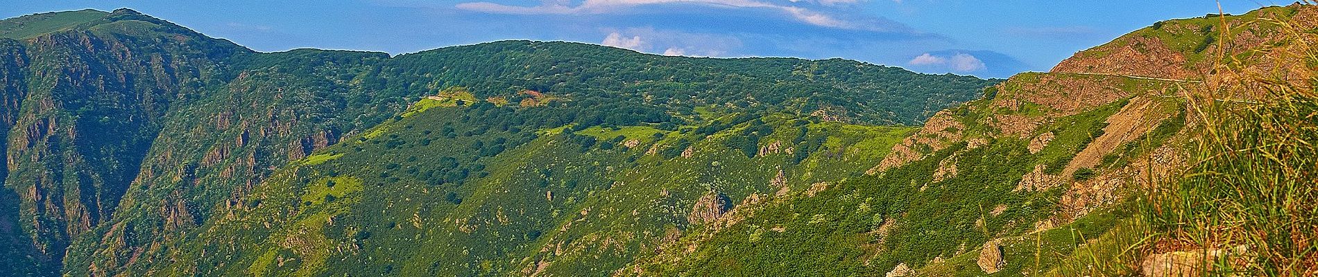 Tocht Te voet Campo Ligure - Campo Ligure - Passo Fruia - Bric del Dente - Photo