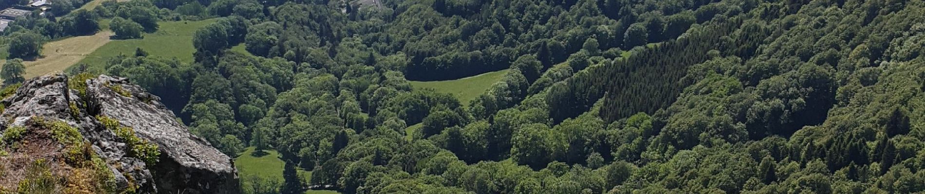 Tocht Stappen Orcival - Banne-D'Ordanche-Guéry_T - Photo