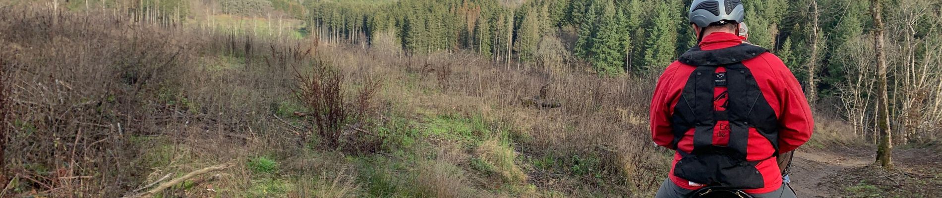 Randonnée Randonnée équestre Bastogne - Livarchamps décembre 2020 - Photo