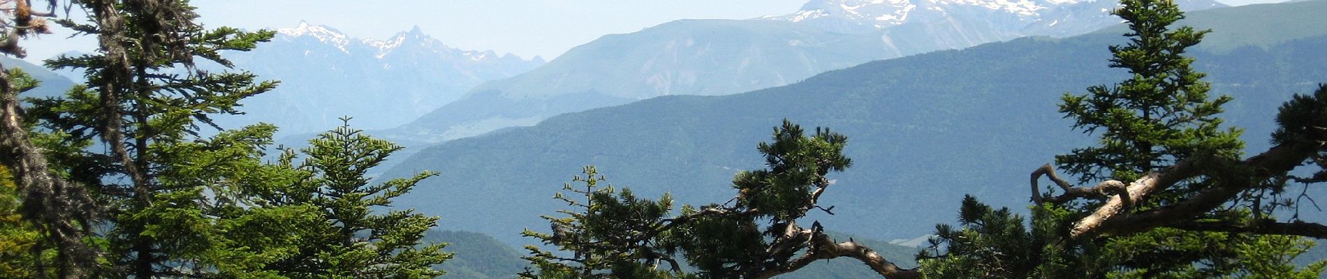 Tocht Te voet Saint-Martin-de-Clelles - Chemin du Goutaroux - Photo