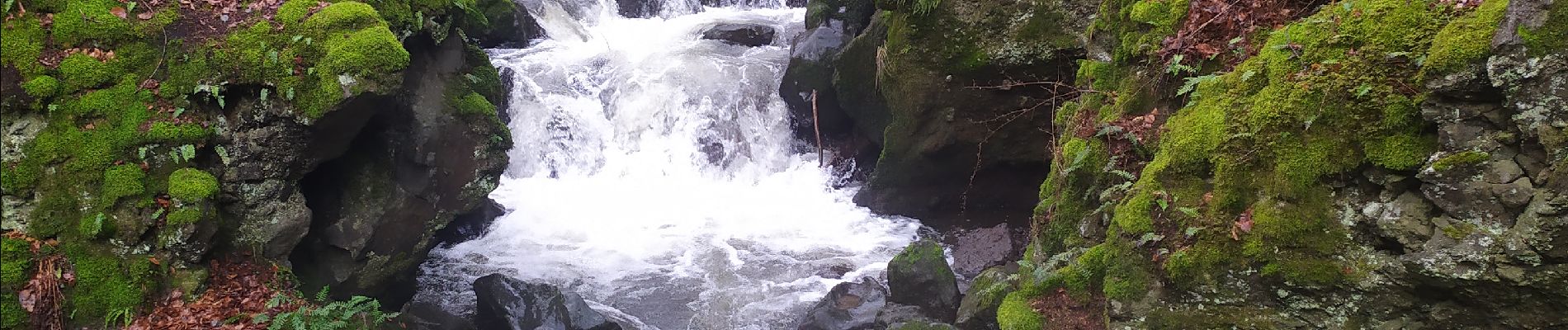 Tour Wandern Besse-et-Saint-Anastaise - 2024 02 11 Besse - Circuit des cascades de Chiloza - Photo