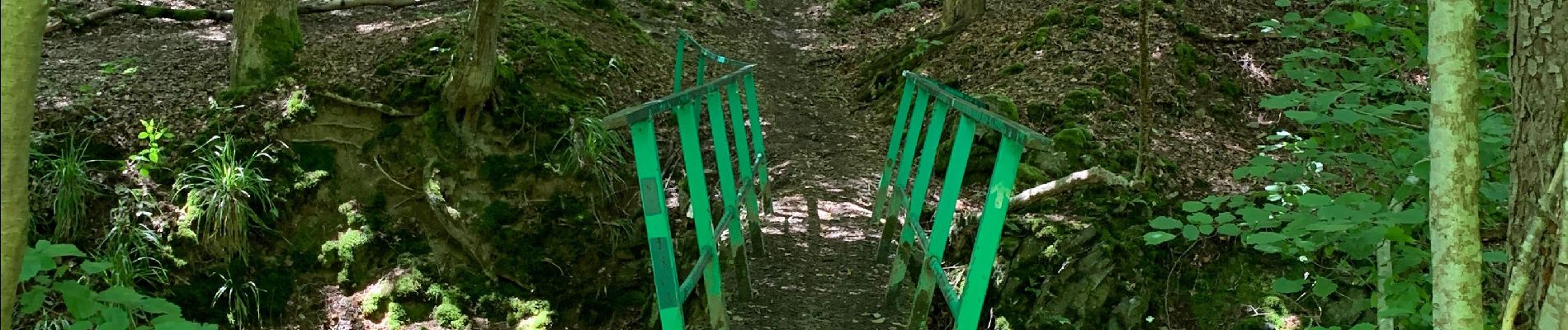 Tour Wandern Ferrières - Rouge Minière  - Photo