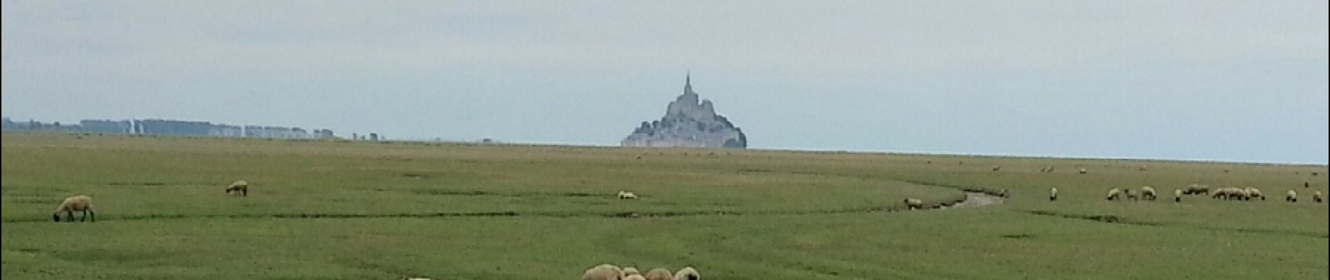 Randonnée Marche Huisnes-sur-Mer - Huisnes-sur-Mer - vue Mont-St-Michel - Pointe de Roche Torin - 14km 75m 4h30 (45mn) - 2017 06 26 - Photo