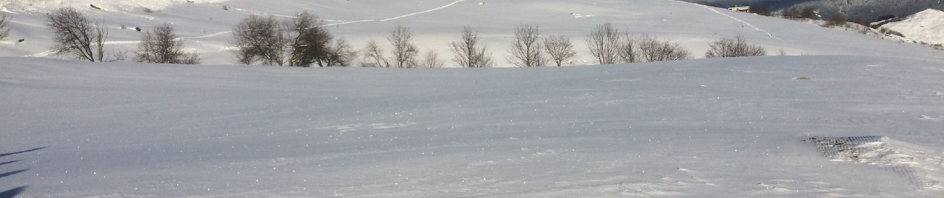 Tocht Sneeuwschoenen Villarembert - Le Corbier G3 - Photo