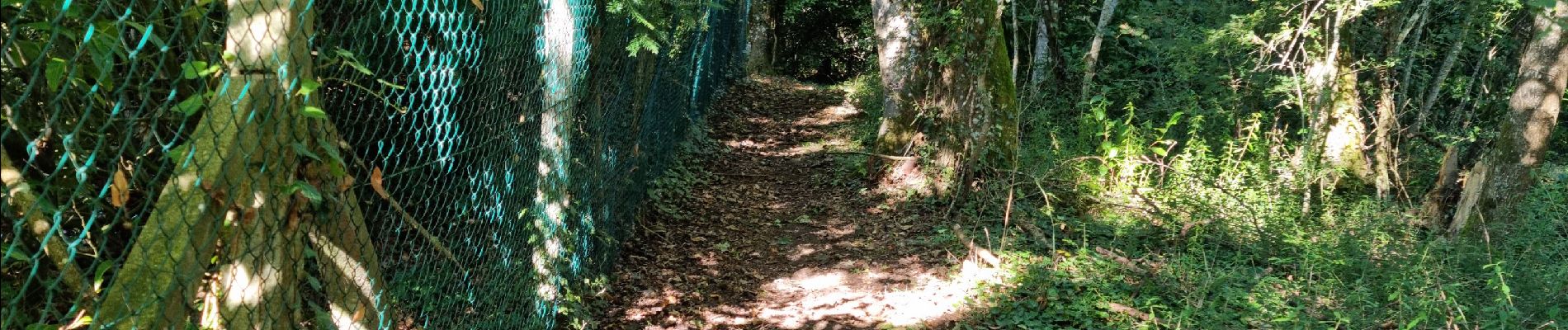 Tour Wandern Villiers-sur-Loir - Randonnée à Villiers-sur-Loir  - Photo