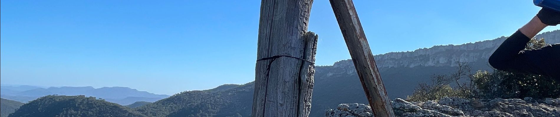 Randonnée Marche Pourcieux - Crêtes du Mont Aurélien - Photo