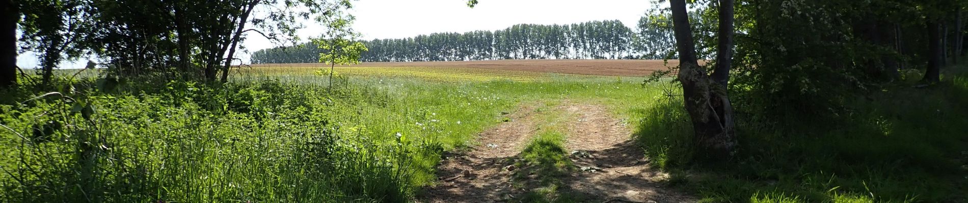 Punto de interés Chaumont-Gistoux - Vue est en direction de Gistoux - Photo