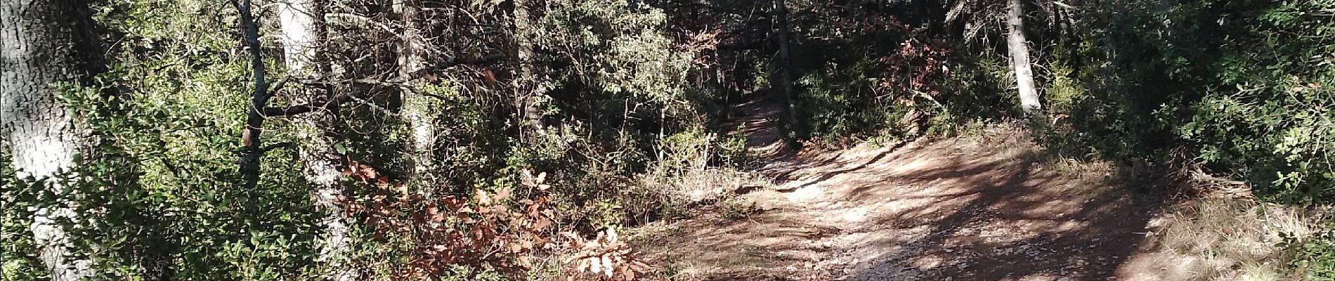 Tour Wandern Vitrolles-en-Luberon - vitrolles en Lubéron. les mascas - Photo