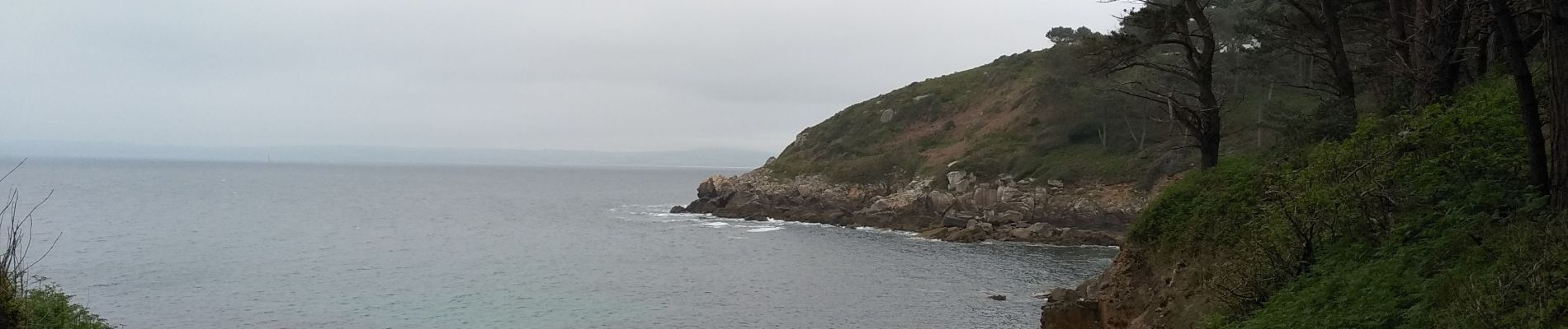 Tocht Stappen Poullan-sur-Mer - POULLAN sur MER - Photo